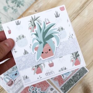 Succulents card kit - cute aloe vera