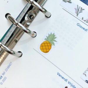 Pineapple sticker planner