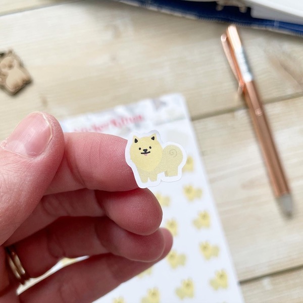 Cute Pomeranian Sticker - close up