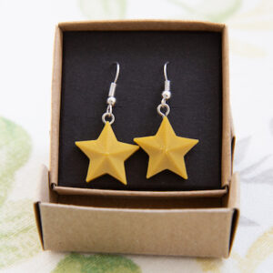gold star earrings in box